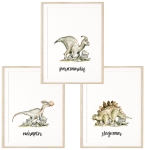 Zestaw 3 plakaty Dinozaury Nr 14.jpg