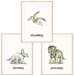 Zestaw 3 plakaty Dinozaury Nr 13.jpg