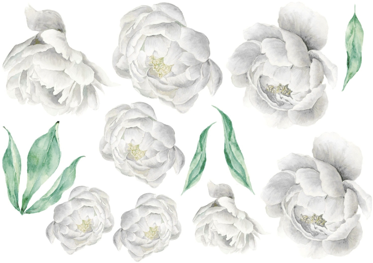 piwonie nowe białe 100x70cm FORMATKA.jpg