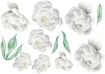 piwonie nowe białe 100x70cm FORMATKA.jpg