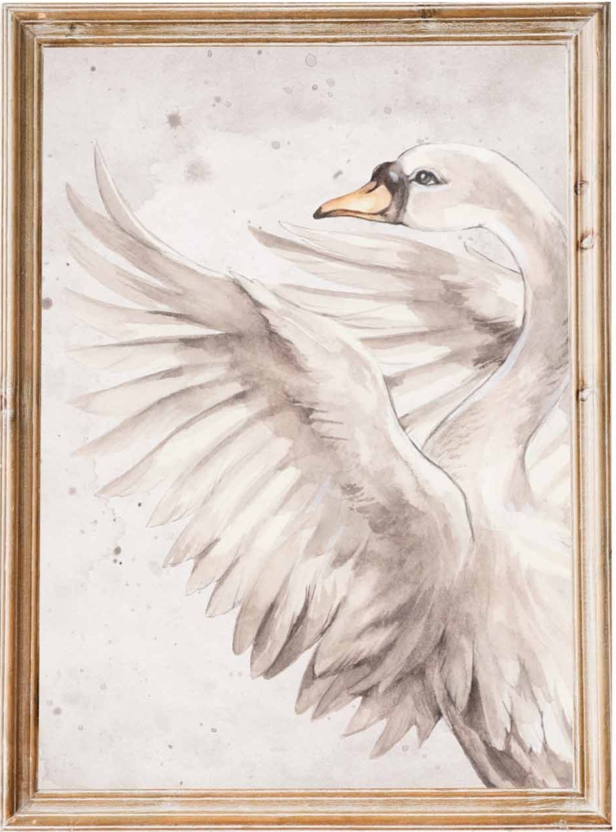 łabędź królewski plakat akwarelowy do pokoju dziecka