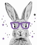 pastelowa naklejka z królikiem – fioletowe okulary