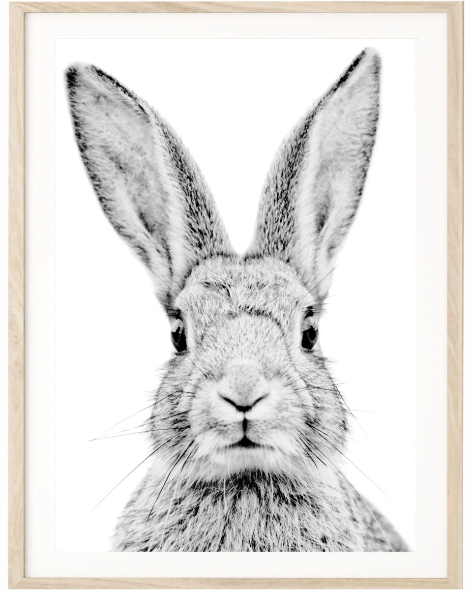 Zbliżenie plakatu Królik Czesiu – ilustracja z króliczkiem w czerni i bieli