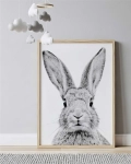 Plakaty z serii królików – Królik Czesiu i przyjaciele | Mała Pracownia