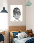 Plakat z sową w monoklu do pokoju chłopca
